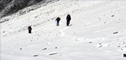 Lobuche Peak Climbing