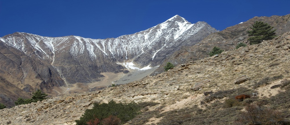 Upper Dolpa Trek