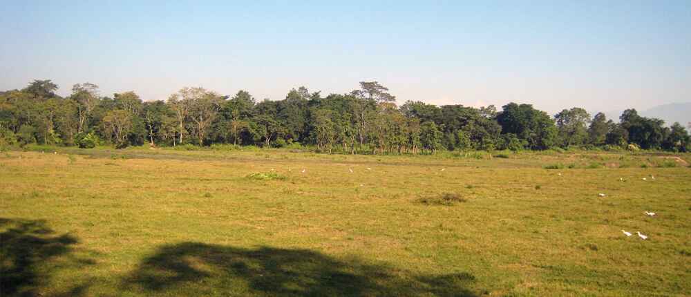 Community forest at Chitwan National Park