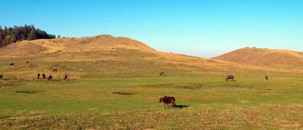 khaptad National Park