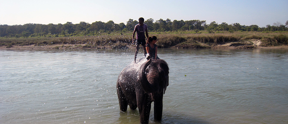 Elephant bath at Chitwan national park